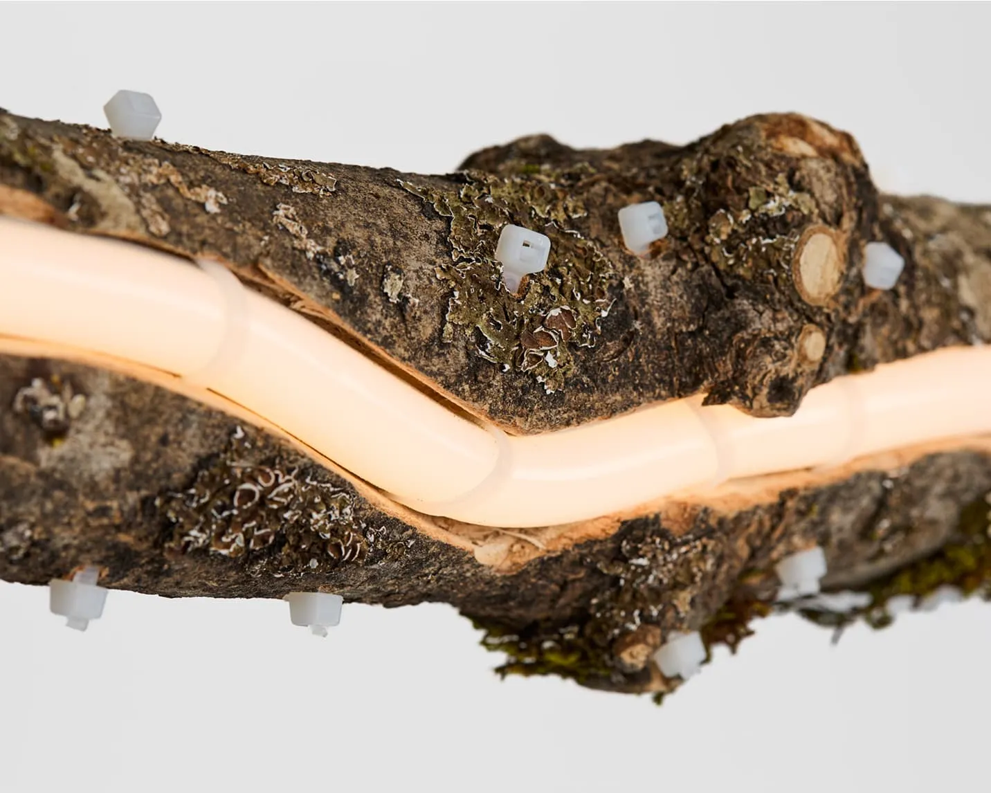 Lampe tronc d'arbre coupé avec des fixations en plastique blanc et des zones de bois nu.