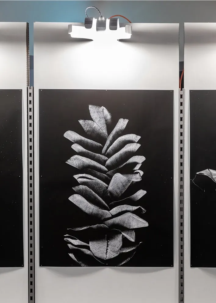 Trois peintures noir et blanc suspendues sur une paroi