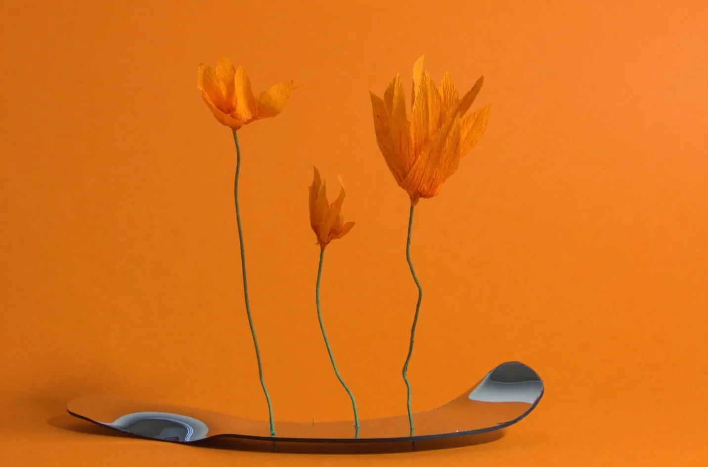 Trois fleurs orange sur tiges fines, plantées dans une base miroir, fond orange