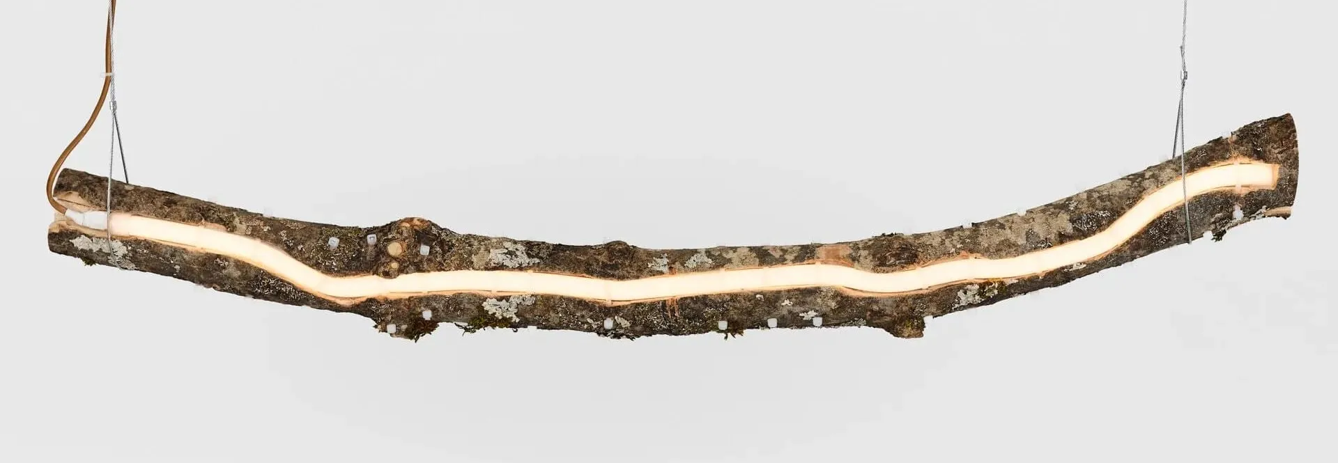 Lampe Branche Pisoni–lab : branche suspendue à deux câbles, néon encastré dans l'écorce