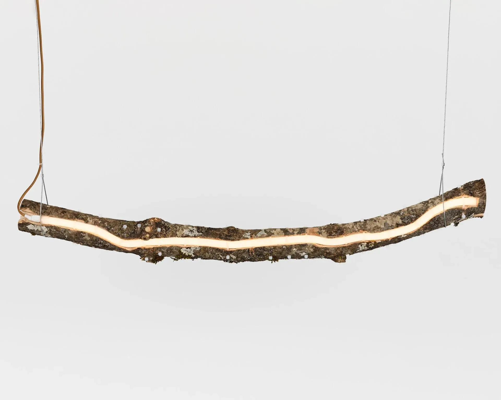 Une pièce de bois suspendue à une corde