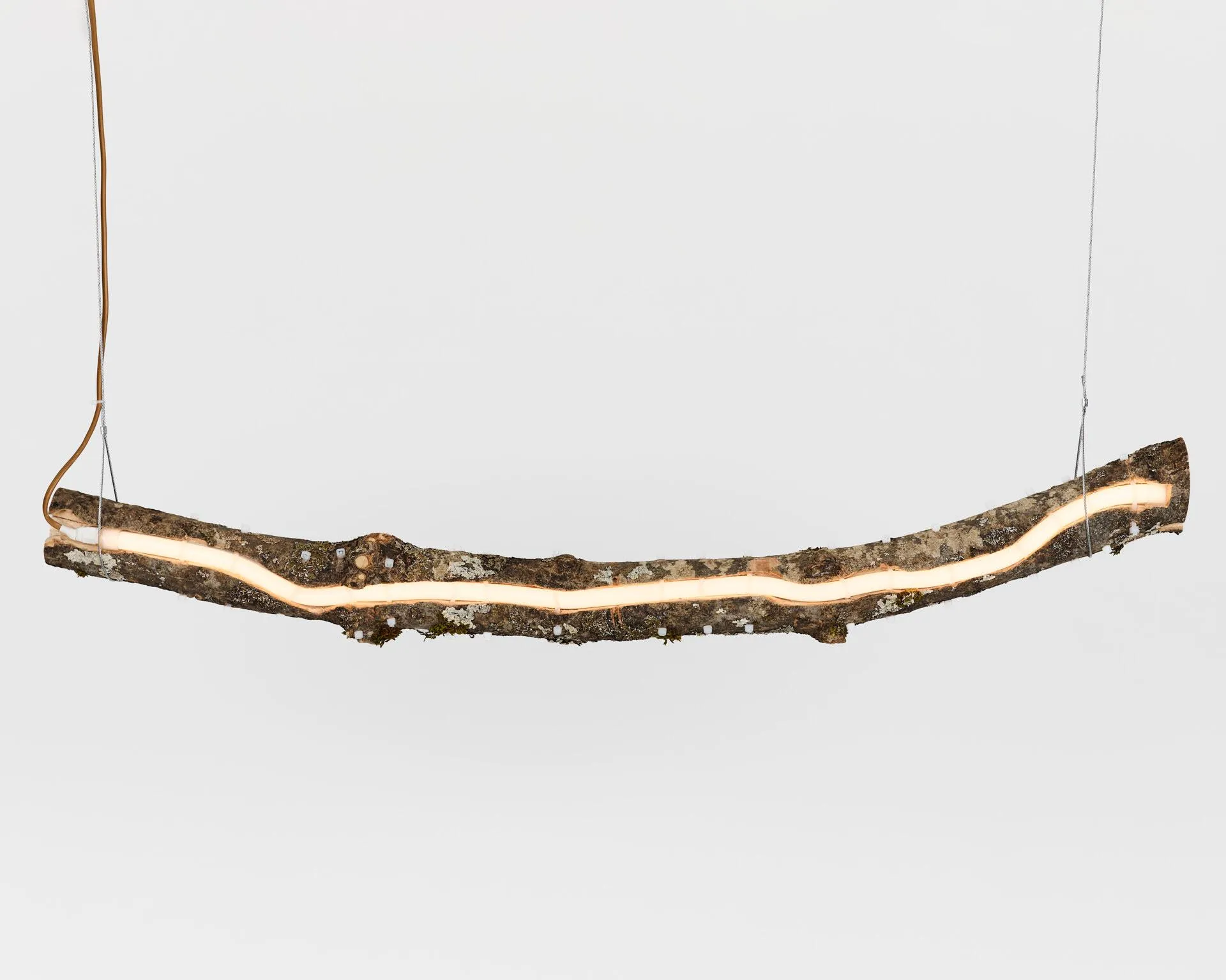Lampe Branche 1