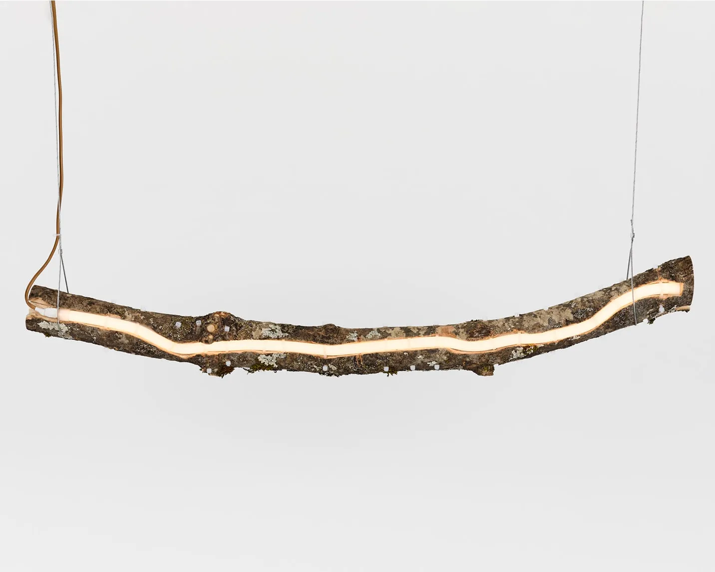 Lampe branche d'arbre suspendue avec une lumière LED intégrée, sur fond blanc.